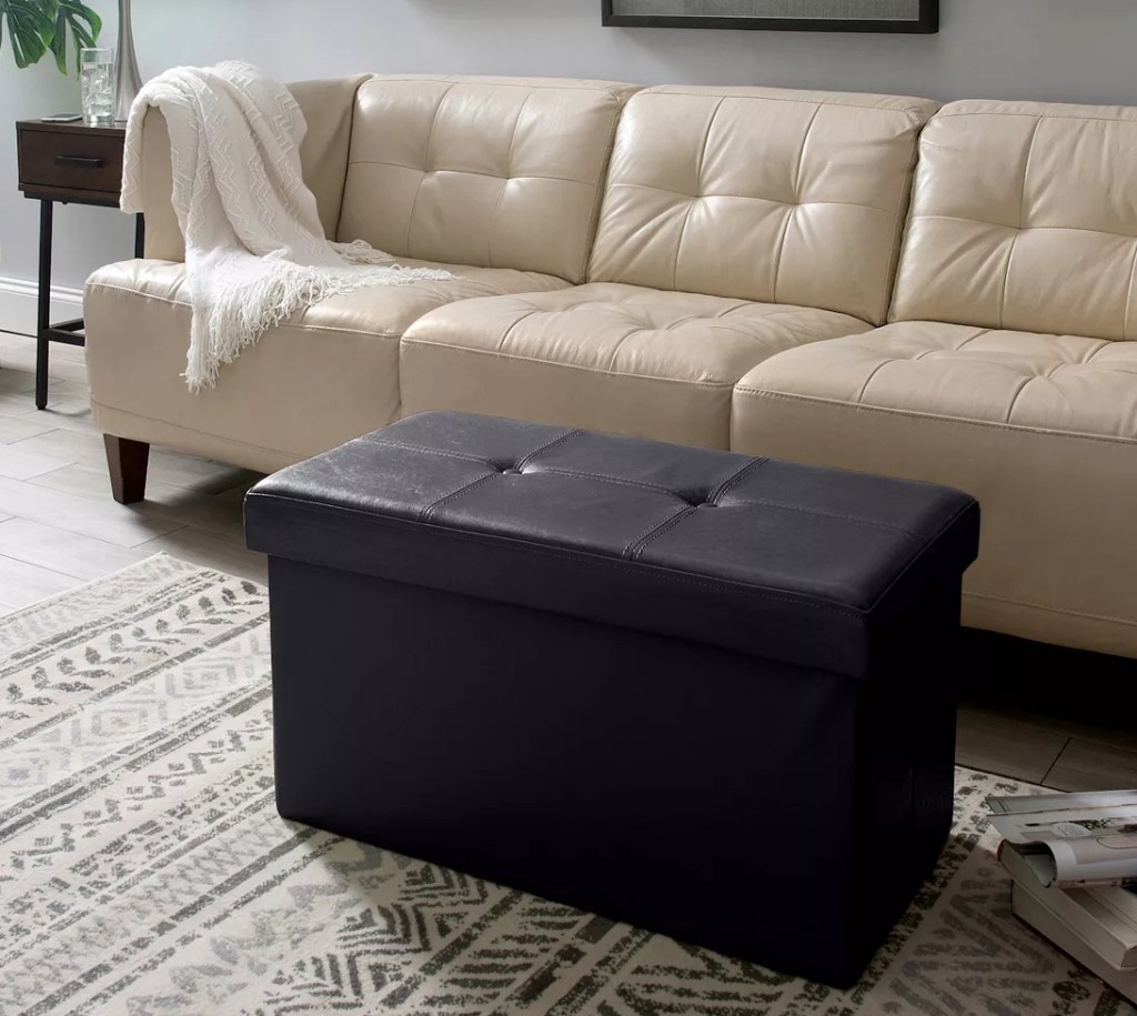 Storage ottoman in front of a couch