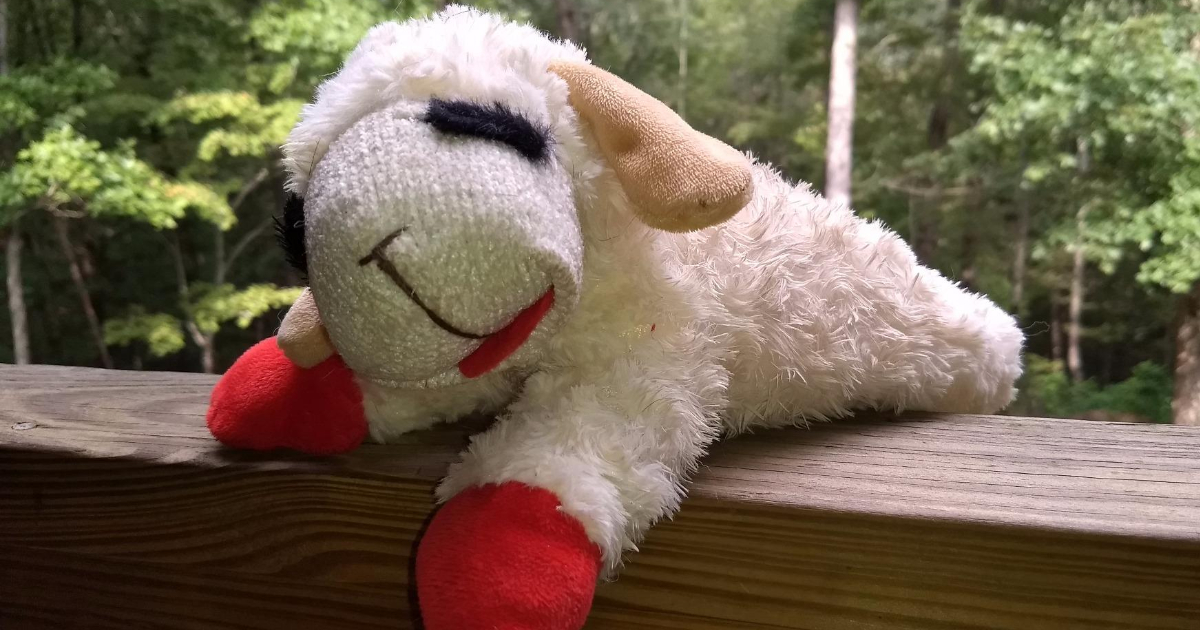 Lamb Chop Dog Toy Only $2.99 Shipped on Amazon (Regularly $13)