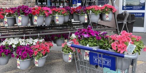 Lowe’s Memorial Day Sale | $8 Hanging Flower Baskets, $2 Mulch & Garden Soil, & More
