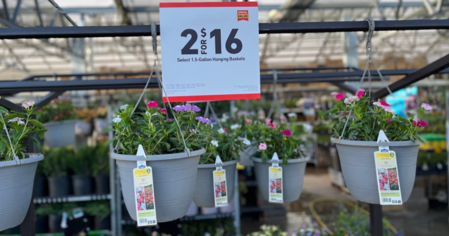 Lowe's hanging Baskets with price signage