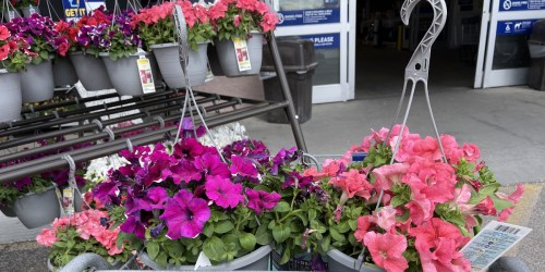 Hanging Flower Baskets Possibly $7.50 Each at Lowe’s (In-Store Only)