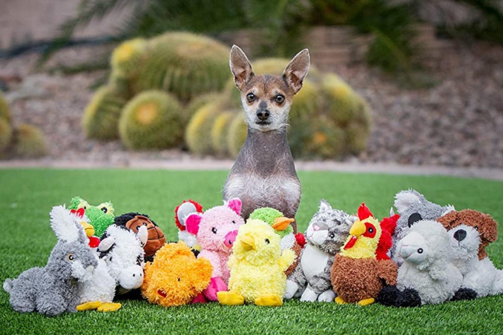 Multipet Lambchop Plush Dog Toy from 5.60 Each Shipped on Amazon