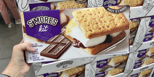 Grab S’mores Kits From Costco Just In Time For Camping Season