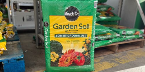 50% Off Miracle-Gro All Purpose Garden Soil at Home Depot (Only $2 for Large Bags!)