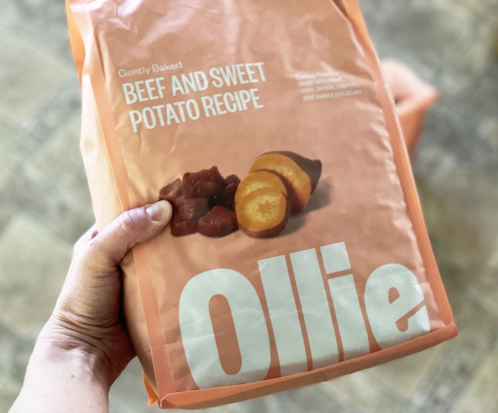 holding bag of Ollie dog food