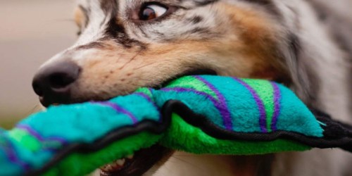 Outward Hound Invincibles Green Snake Plush Dog Toy JUST $5 (Regularly $20) + More Dog Toy Deals