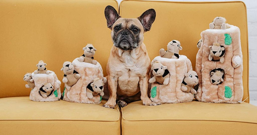 dog on yellow couch with toys around him