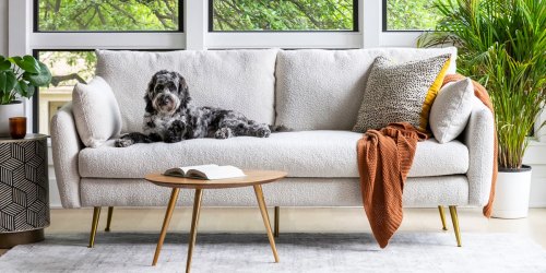 Up to 40% Off Albany Park Sofas & Sectionals + Free Shipping (Includes Our Fave Cloud Couch Dupes!)