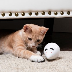Premier Pet Interactive Cat Toys Only $5 on Walmart.com (Regularly $22)