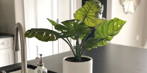 Project 62 Faux Potted Monstera Only $12.50 on Target.com (Regularly $25) + More Artificial Plant Deals