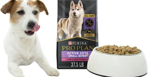 Purina Pro Plan Dog Food 38lb Bag Only $38 Shipped on Amazon (Regularly $61)