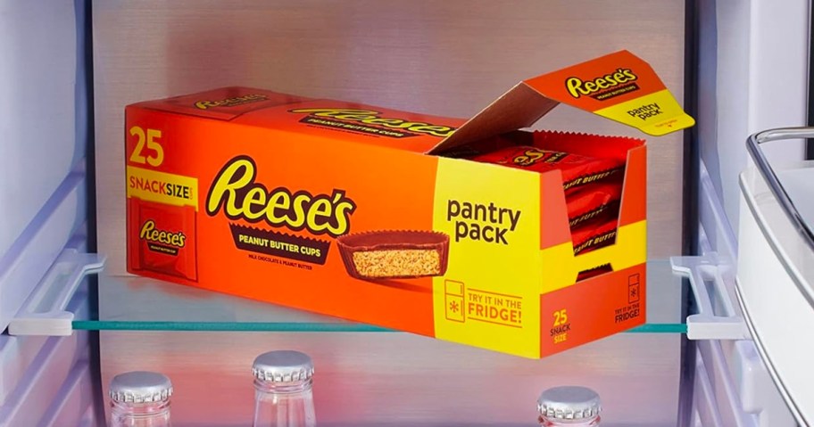 Reese's Snack Size Peanut Butter Cups 25-Count