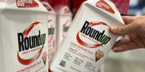 Have You Purchased Roundup Weed Killer? You May be Eligible for Cash Settlement.