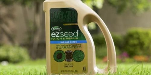 Scotts EZ Seed Grass Seed Only $6.40 on Walmart.com (Regularly $16)