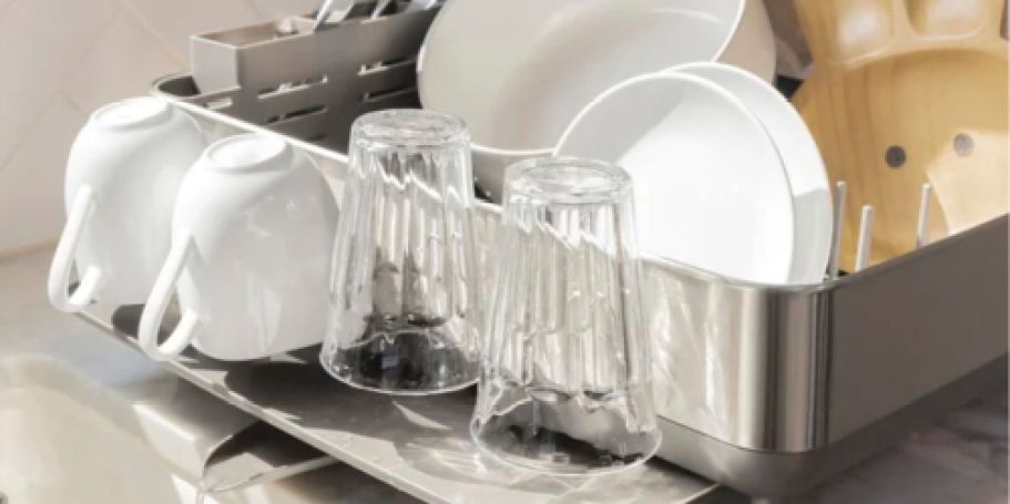 Simplehuman Stainless Steel Dish Rack Just $9.97 for Costco Members