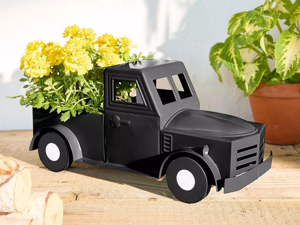 Black truck planter with yellow flowers in the back