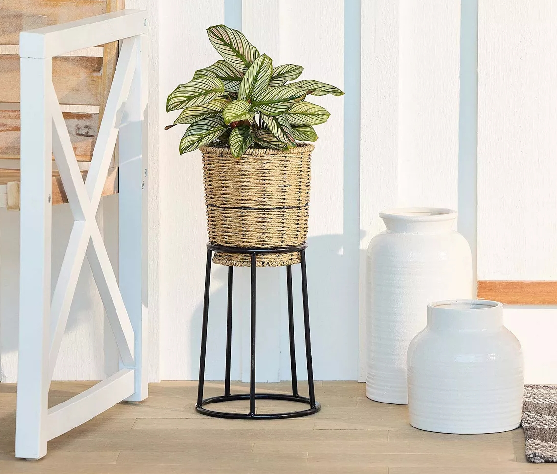 Metal plant stand with a basket in it