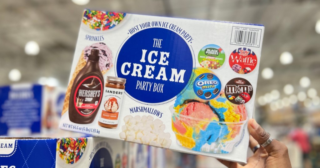 ice cream party box kit in store