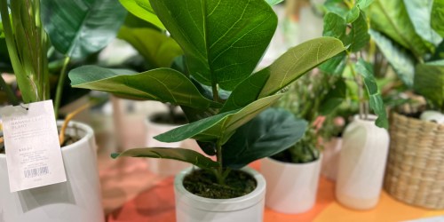 50% Off Target Artificial Plants | Project 62 Faux Potted Monstera Only $12.50 + More