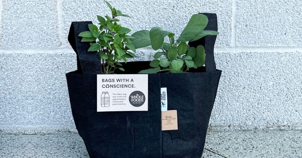 Whole Foods Planting Kit