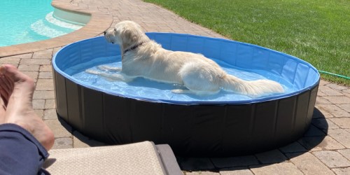 Furever Foldable XXL Dog or Kiddie Pool Just $34.99 Shipped on Amazon (Regularly $50)