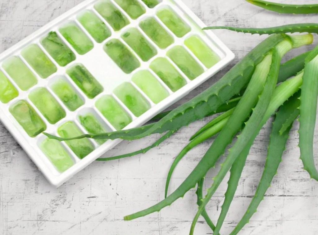 ice cube tray full of green aloe vera sitting next to plant