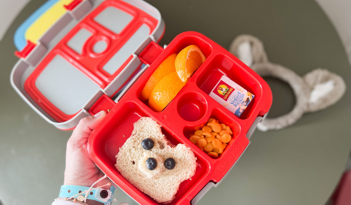 bear sandwich in lunch box