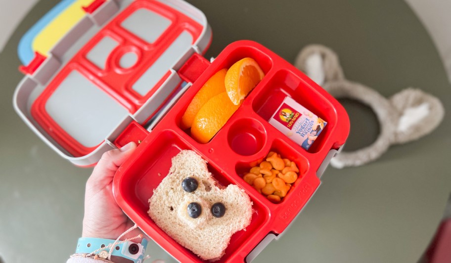 hand holding bento box with bear sandwich, oranges, goldfish and raisins