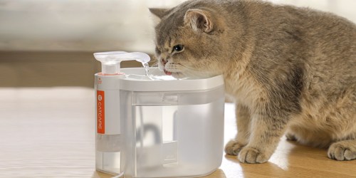 Ultra-Quiet Cat Water Fountain w/ Filter Only $19.99 Shipped on Amazon (Removes 99.9% of Impurities)