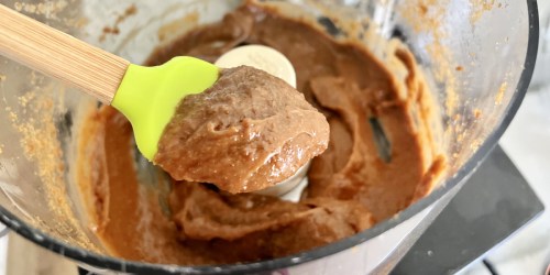 5 Minute DIY Cookie Butter | Just Like The Popular Trader Joe’s Version!