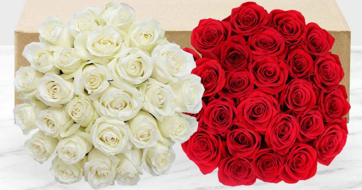 Get Costco Flowers Delivered 50 Long Stem Red & White Roses Just 49.99