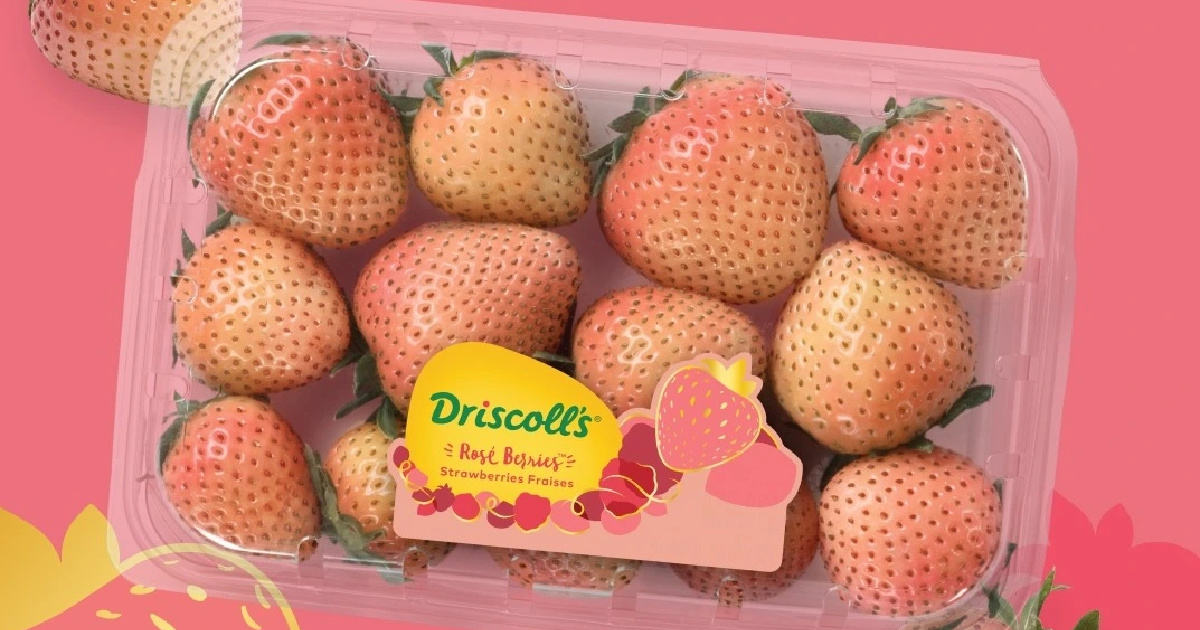 driscoll's rose berries