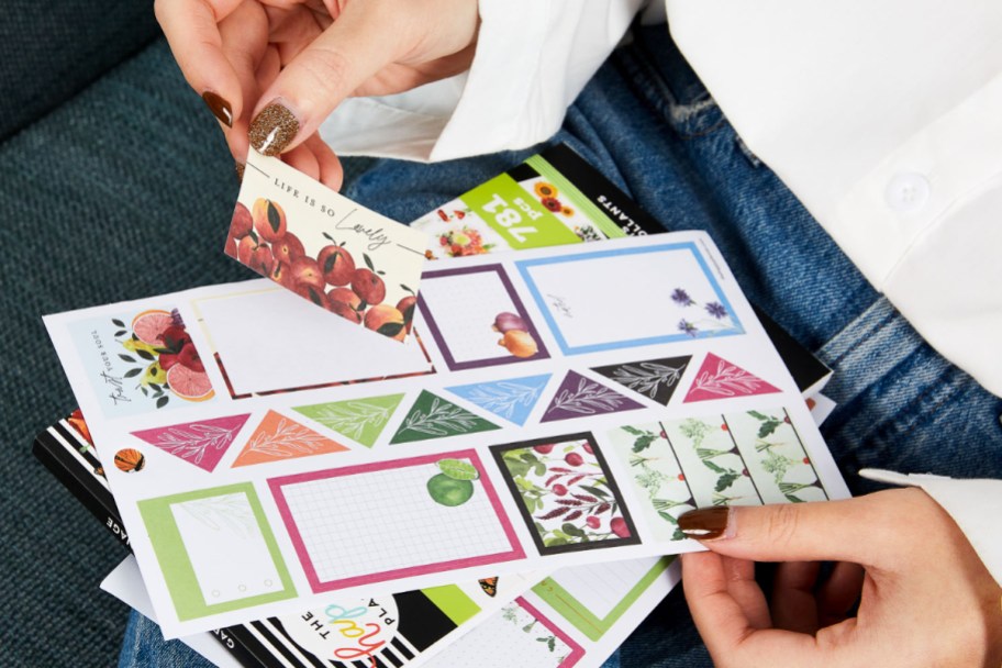 The Happy Planner stickers