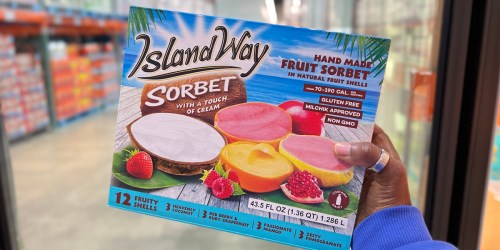 Island Way Sorbet Back Again at Costco (AND It’s on Sale!) | Served in Real Fruit Shells