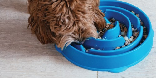Outward Hound Fun Feeder Bowls from $6.52 on Amazon (Regularly $22) | Helps Slow Your Pup’s Eating