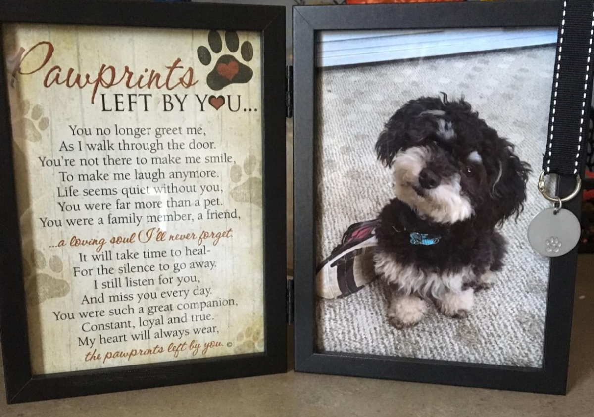 pawprints picture frame on amazon