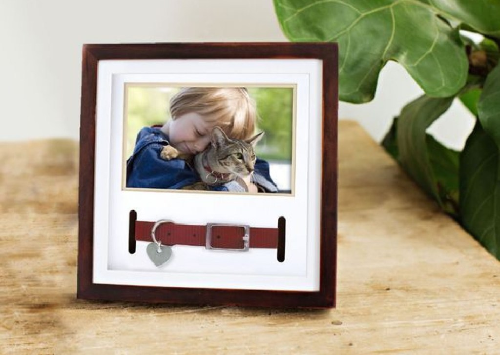 pearhead pet collar frame pet sympathy gifts