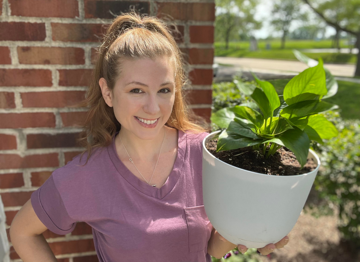 target self watering plant pot