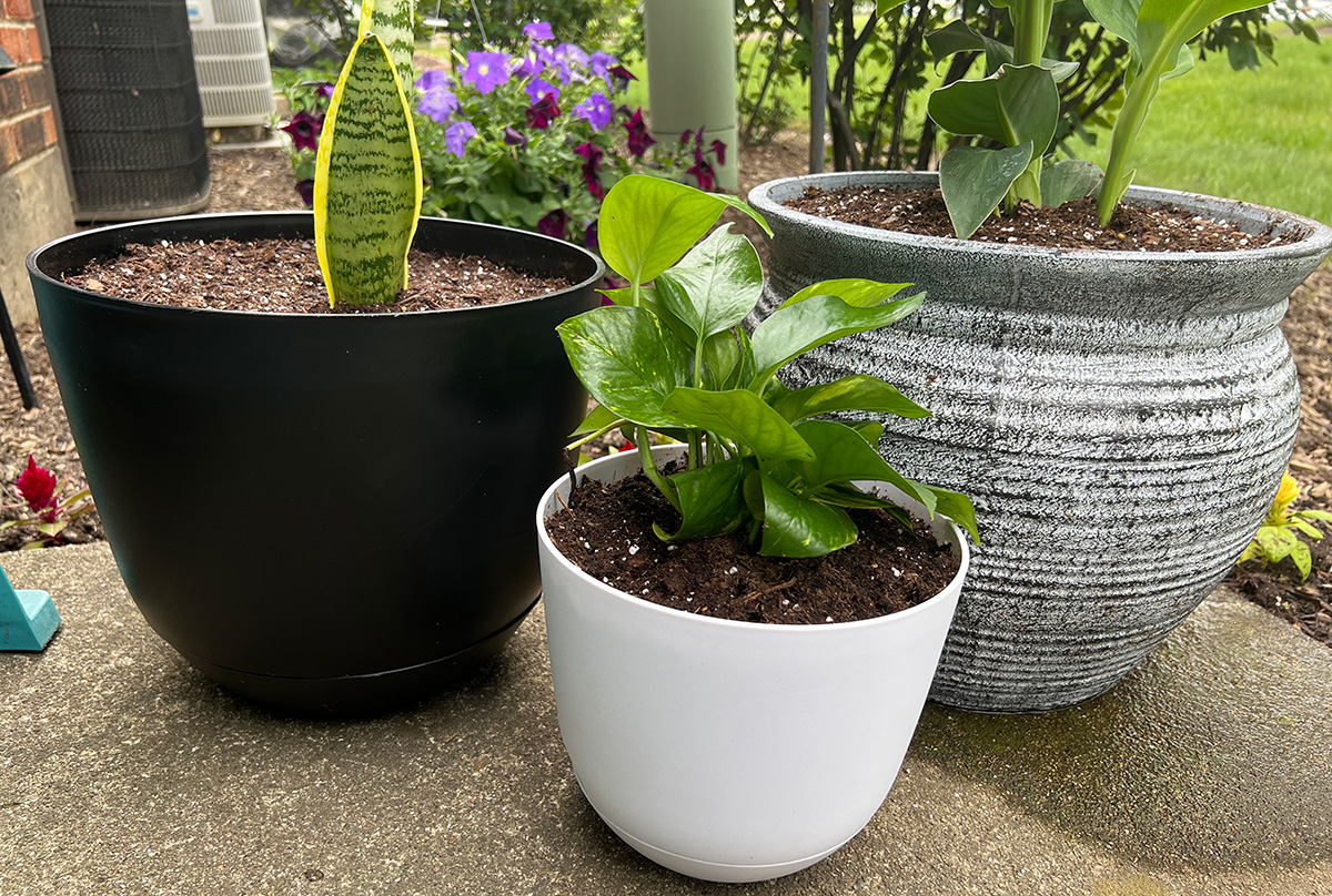 target self watering planters outside with plants in them