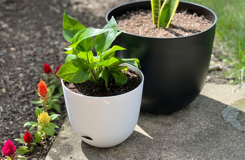 target self watering planters