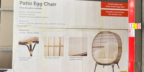 ALDI Egg Chair w/ Cushions Only $299.99 (Regularly $450)