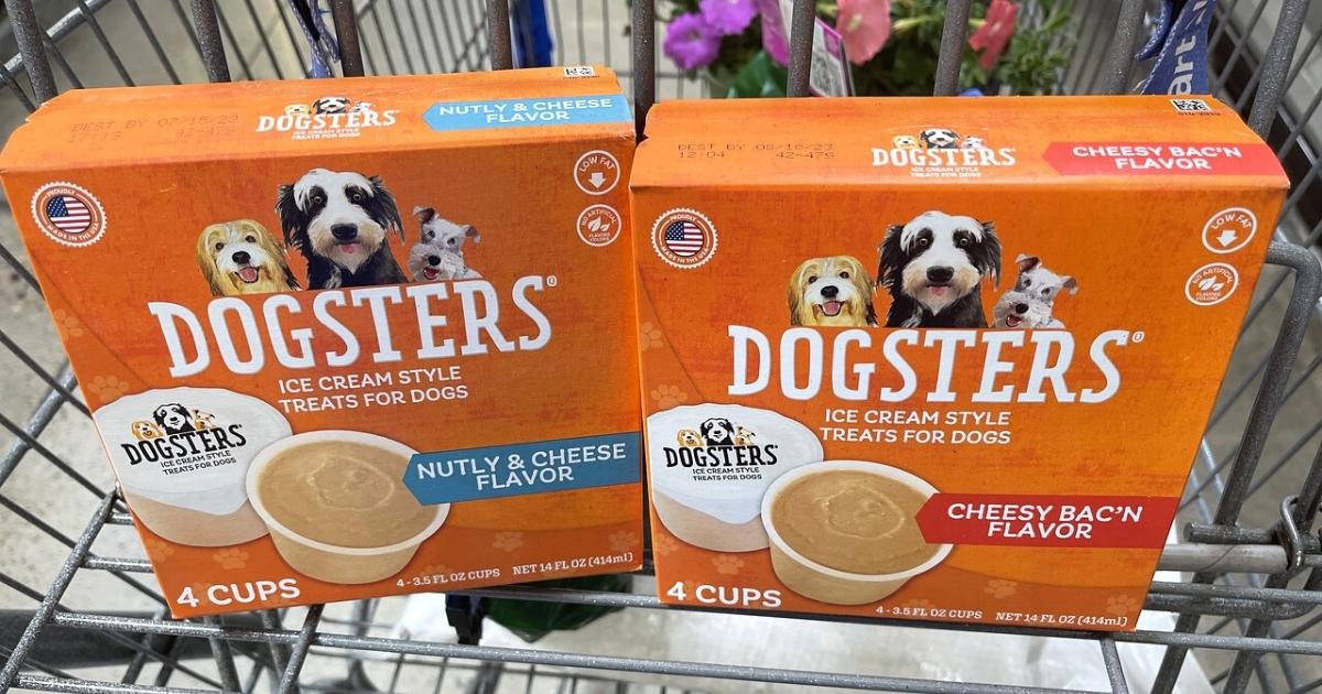 two boxes of Dogsters Ice Cream in a store shopping cart basket