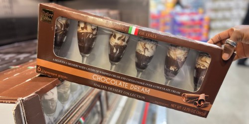 Costco’s Italian Chocolate Dream Dessert 6-Count Pack is Just $13.49 (Only $2.25 Each)