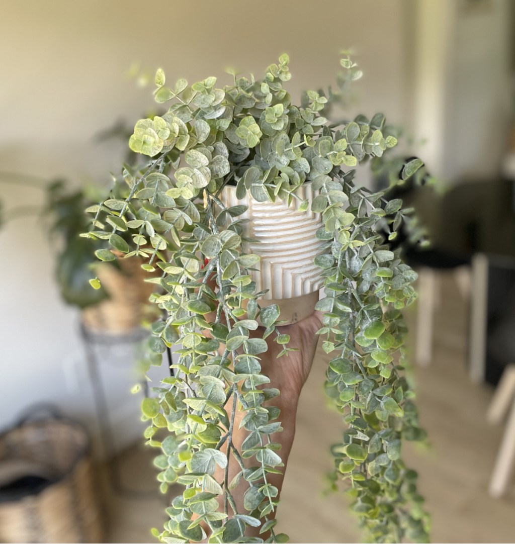 Faux plants - Hanging Eucalyptus Emily