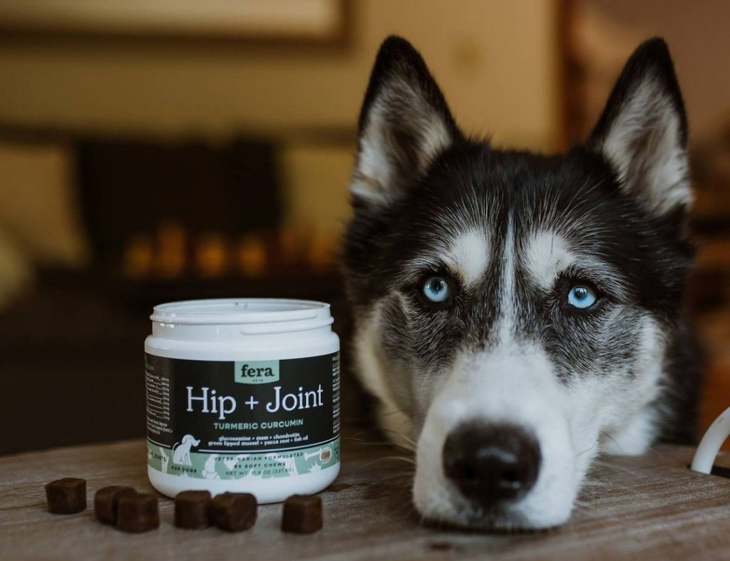 dog with Fera Pet Organics Hip & Joint chewables