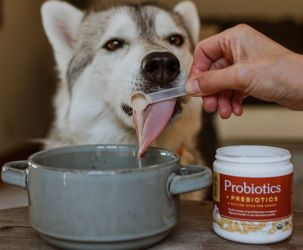 hand putting Fera Pet Organics USDA Organic Probiotics + Prebiotics in dog food