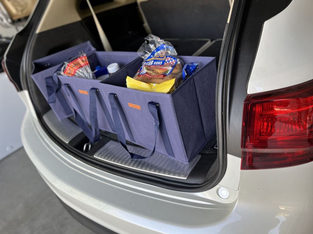 Gramercy Reusable Bags in the bag of a car