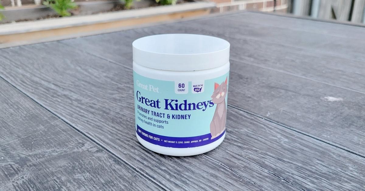 Great Kidneys Natural Cat Kidney Support Treats 60-Count Bottle