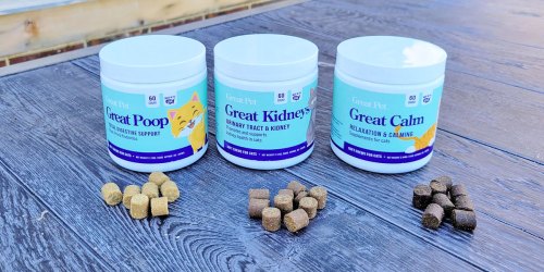 Cat Owners! Get 30% Off Great Pet Supplements for Cats on Amazon (Support Digestion, Kidney Health, & More)