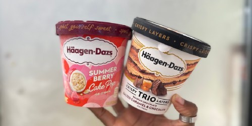 Buy 1, Get 1 FREE Ice Cream at Walgreens | Haagen Dazs Pints, Bars, & More from $2.89 Each